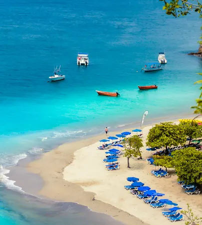 Tortuga Island All Inclusive Tour