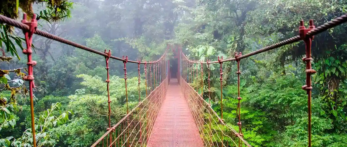 Monteverde Cloud Forest hanging bridges tour Costa Rica