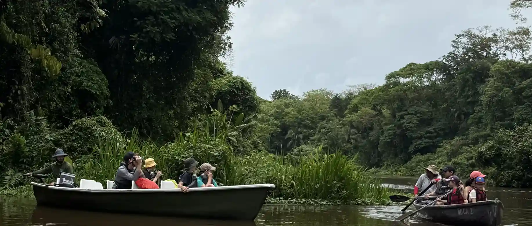 Tortuguero canals and sea turtle nesting tours Costa Rica