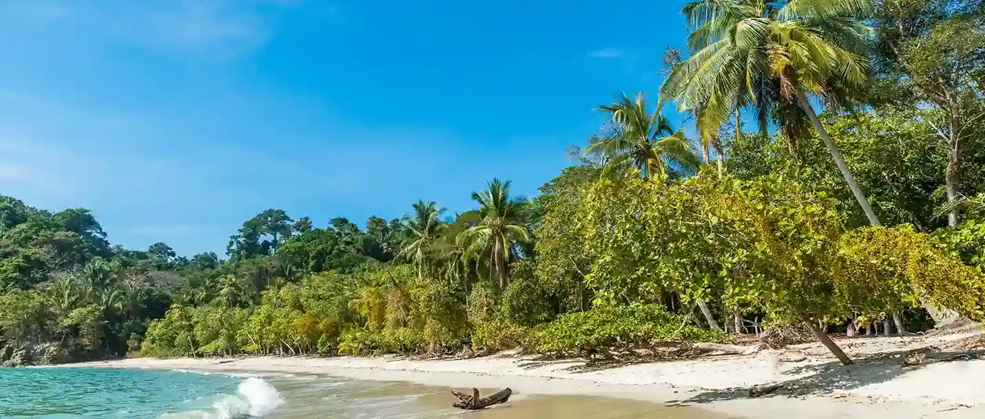 Manuel Antonio National Park beach and wildlife tour Costa Rica