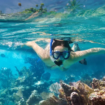 Snorkeling