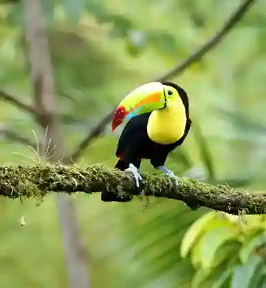 Plan Your Costa Rica Trip